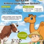 kriteria qurban